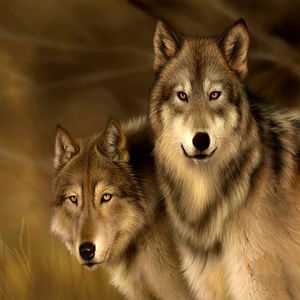 Meet your Posher, Keri